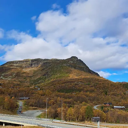 Fjellstue Nr 3 * Tyinkrysset